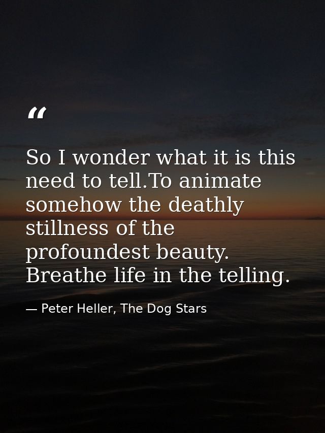 So I wonder what it is this need to tell.To animate somehow the deathly stillness of the profoundest beauty. Breathe lif — Peter Heller, The Dog Stars