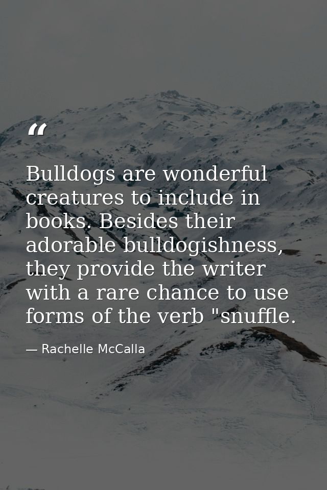 Bulldogs are wonderful creatures to include in books. Besides their adorable bulldogishness, they provide the writer wit — Rachelle McCalla