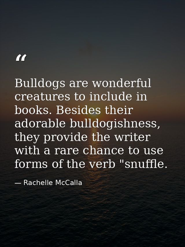 Bulldogs are wonderful creatures to include in books. Besides their adorable bulldogishness, they provide the writer wit — Rachelle McCalla