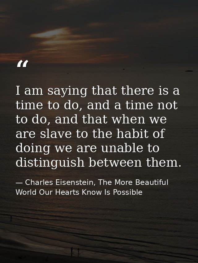 I am saying that there is a time to do, and a time not to do, and that when we are slave to the habit of doing we are un — Charles Eisenstein, The More Beautiful World Our Hearts Know Is Possible