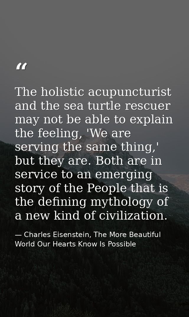 The holistic acupuncturist and the sea turtle rescuer may not be able to explain the feeling, 'We are serving the same t — Charles Eisenstein, The More Beautiful World Our Hearts Know Is Possible