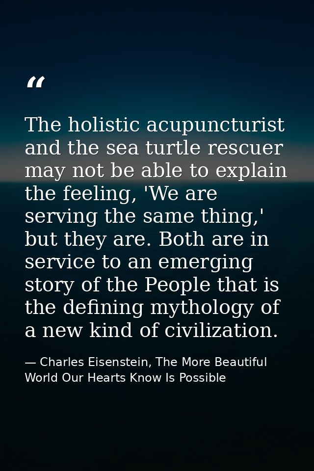 The holistic acupuncturist and the sea turtle rescuer may not be able to explain the feeling, 'We are serving the same t — Charles Eisenstein, The More Beautiful World Our Hearts Know Is Possible