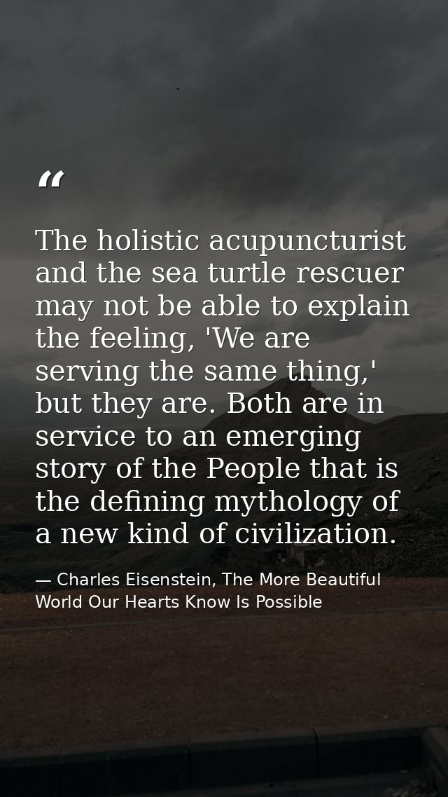 The holistic acupuncturist and the sea turtle rescuer may not be able to explain the feeling, 'We are serving the same t — Charles Eisenstein, The More Beautiful World Our Hearts Know Is Possible