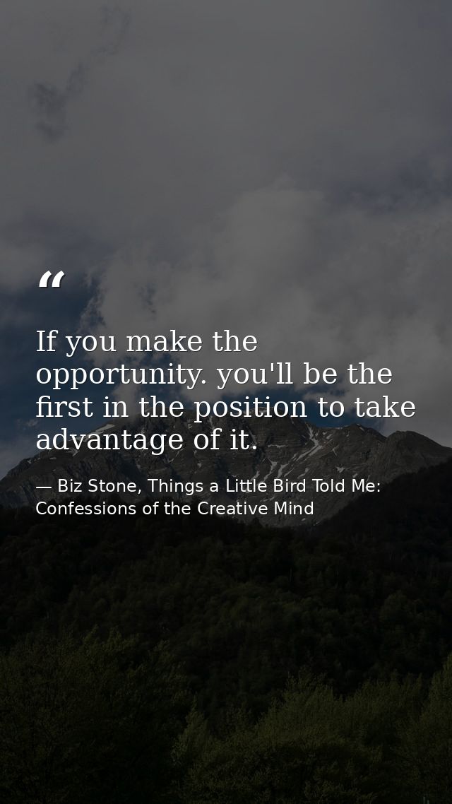 If you make the opportunity. you'll be the first in the position to take advantage of it. — Biz Stone, Things a Little Bird Told Me: Confessions of the Creative Mind
