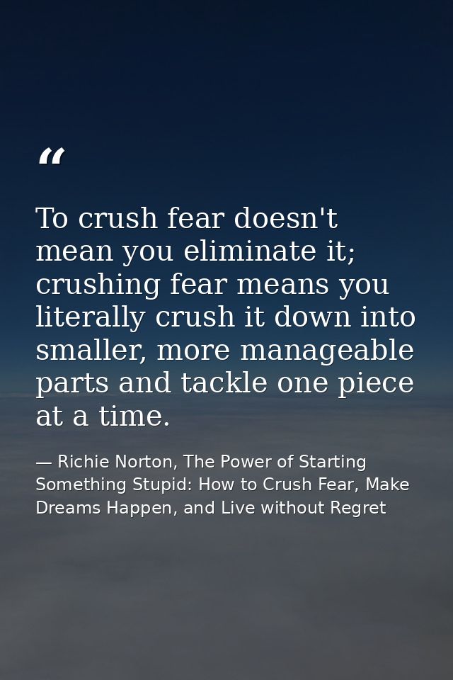 To crush fear doesn't mean you eliminate it; crushing fear means you literally crush it down into smaller, more manageab — Richie Norton, The Power of Starting Something Stupid: How to Crush Fear, Make Dreams Happen, and Live without Regret