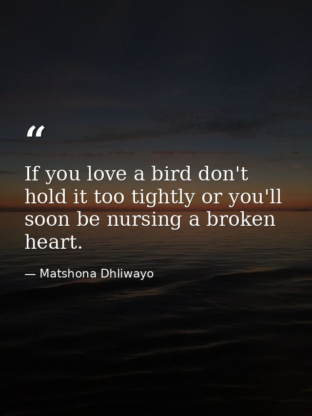 If you love a bird don't hold it too tightly or you'll soon be nursing a broken heart. — Matshona Dhliwayo