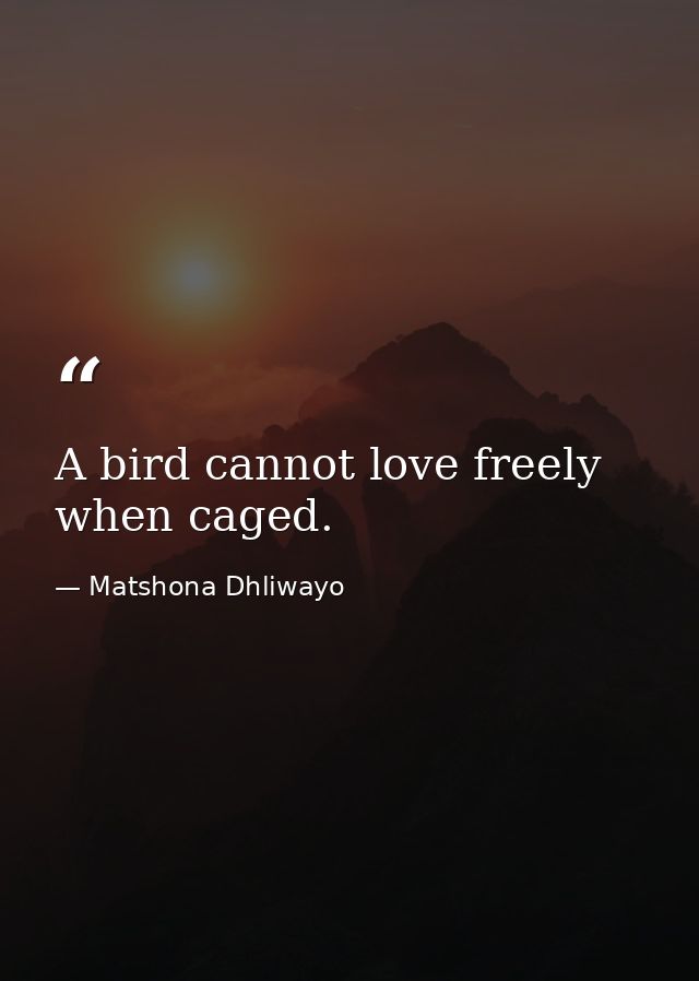 A bird cannot love freely when caged. — Matshona Dhliwayo
