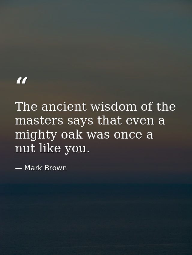 The ancient wisdom of the masters says that even a mighty oak was once a nut like you. — Mark Brown
