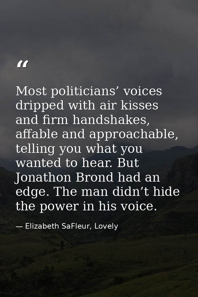 Most politicians’ voices dripped with air kisses and firm handshakes, affable and approachable, telling you what you wan — Elizabeth SaFleur, Lovely