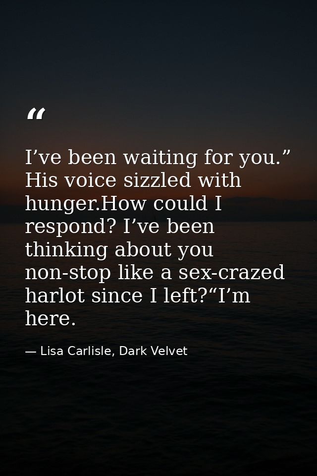I’ve been waiting for you.” His voice sizzled with hunger.How could I respond? I’ve been thinking about you non-stop lik — Lisa Carlisle, Dark Velvet