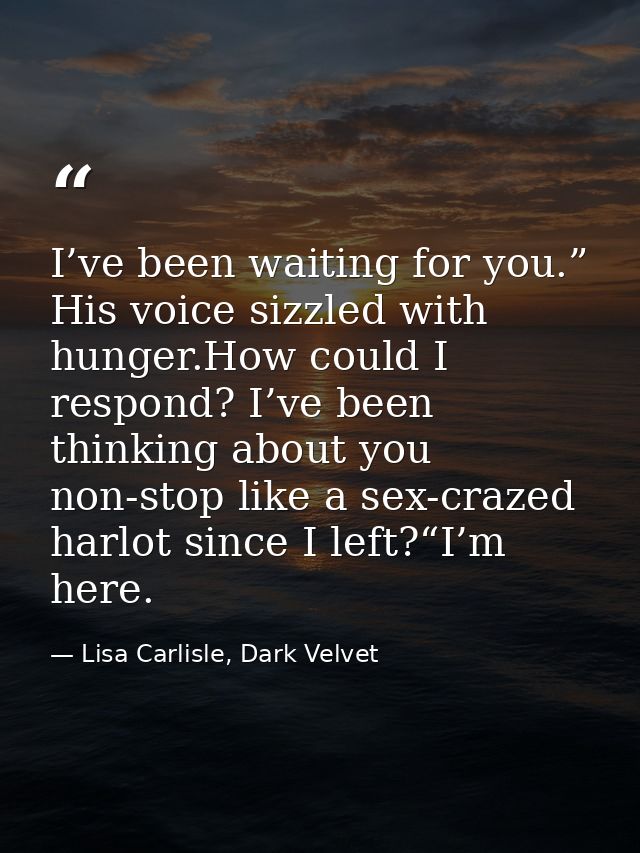 I’ve been waiting for you.” His voice sizzled with hunger.How could I respond? I’ve been thinking about you non-stop lik — Lisa Carlisle, Dark Velvet