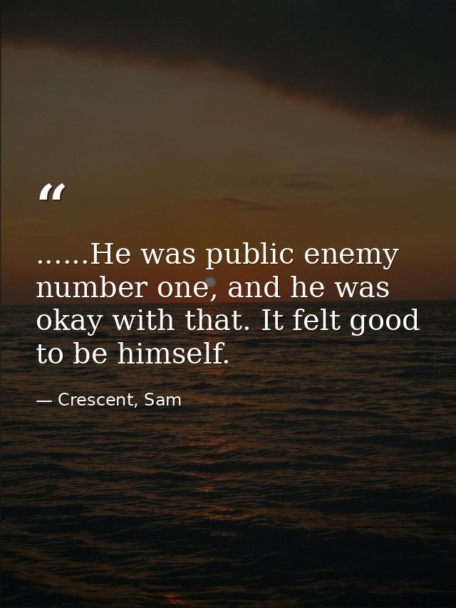 ......He was public enemy number one, and he was okay with that. It felt good to be himself. — Crescent, Sam