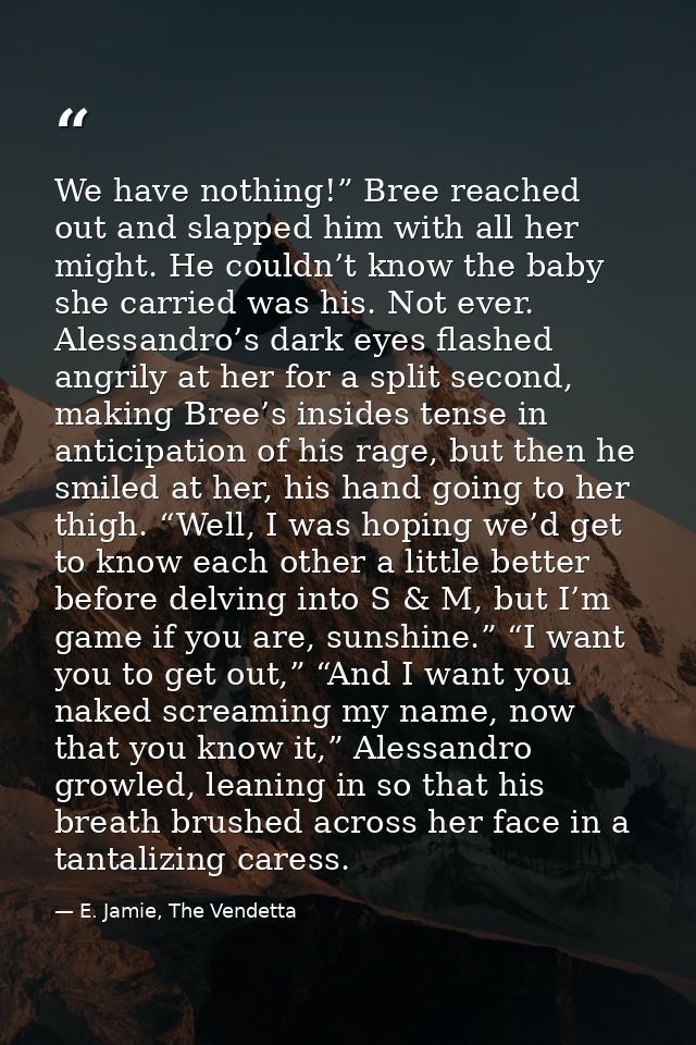 We have nothing!” Bree reached out and slapped him with all her might. He couldn’t know the baby she carried was his. No — E. Jamie, The Vendetta