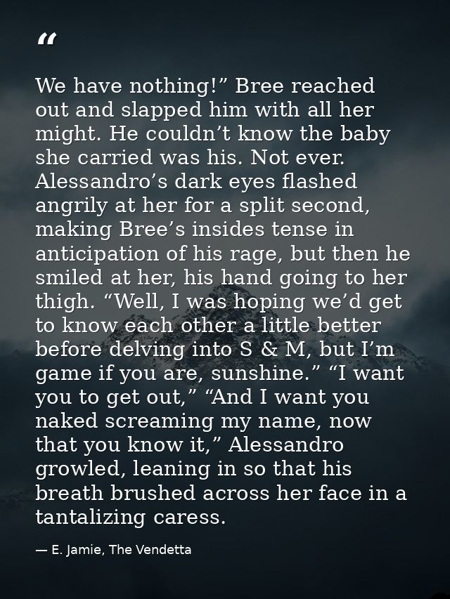 We have nothing!” Bree reached out and slapped him with all her might. He couldn’t know the baby she carried was his. No — E. Jamie, The Vendetta