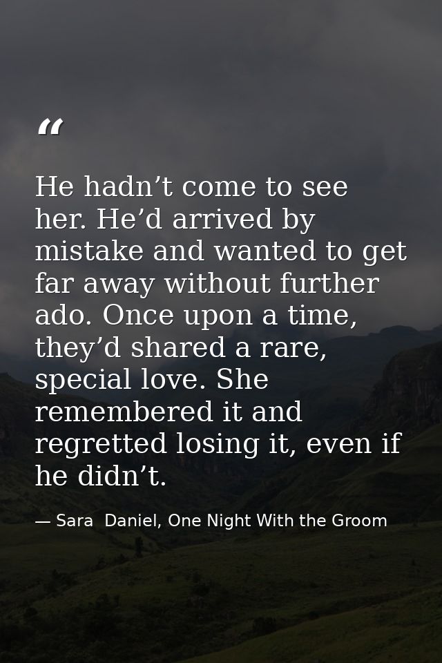 He hadn’t come to see her. He’d arrived by mistake and wanted to get far away without further ado. Once upon a time, the — Sara  Daniel, One Night With the Groom