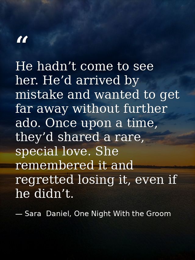 He hadn’t come to see her. He’d arrived by mistake and wanted to get far away without further ado. Once upon a time, the — Sara  Daniel, One Night With the Groom