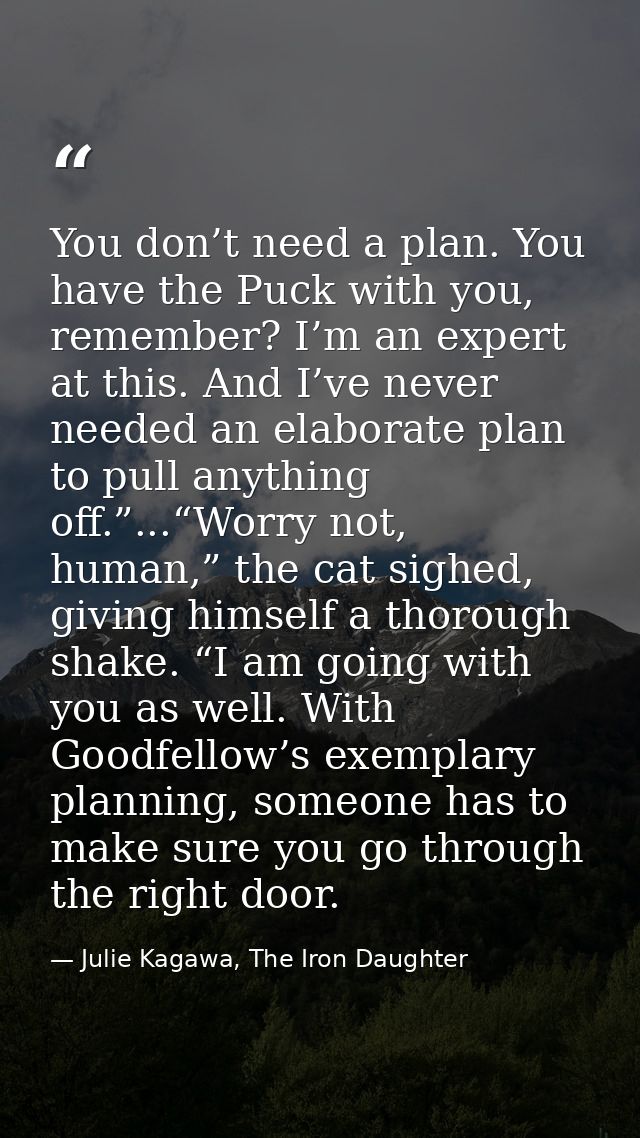 You don’t need a plan. You have the Puck with you, remember? I’m an expert at this. And I’ve never needed an elaborate p — Julie Kagawa, The Iron Daughter