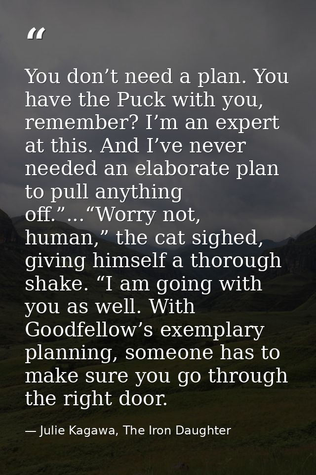 You don’t need a plan. You have the Puck with you, remember? I’m an expert at this. And I’ve never needed an elaborate p — Julie Kagawa, The Iron Daughter