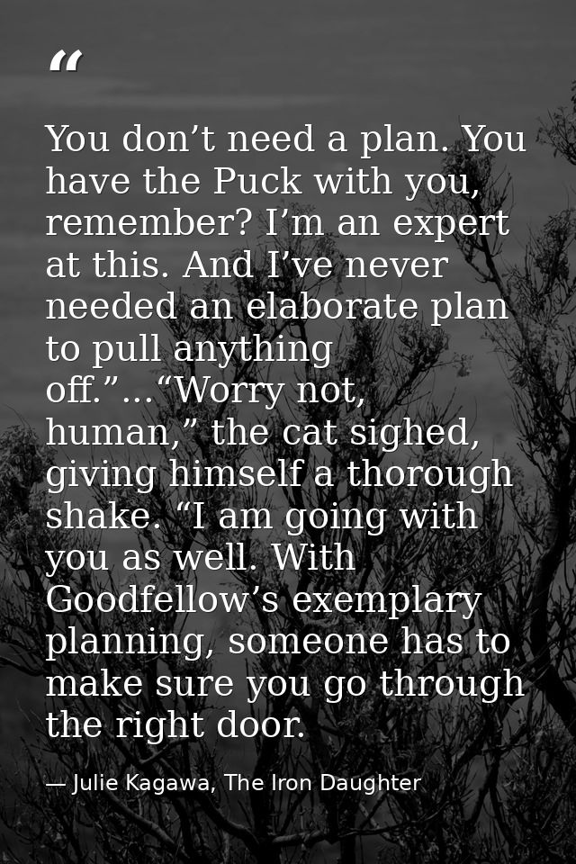 You don’t need a plan. You have the Puck with you, remember? I’m an expert at this. And I’ve never needed an elaborate p — Julie Kagawa, The Iron Daughter