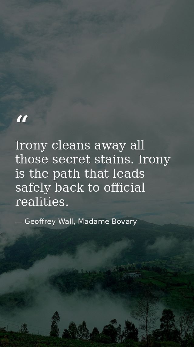 Irony cleans away all those secret stains. Irony is the path that leads safely back to official realities. — Geoffrey Wall, Madame Bovary