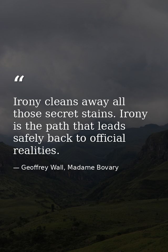 Irony cleans away all those secret stains. Irony is the path that leads safely back to official realities. — Geoffrey Wall, Madame Bovary