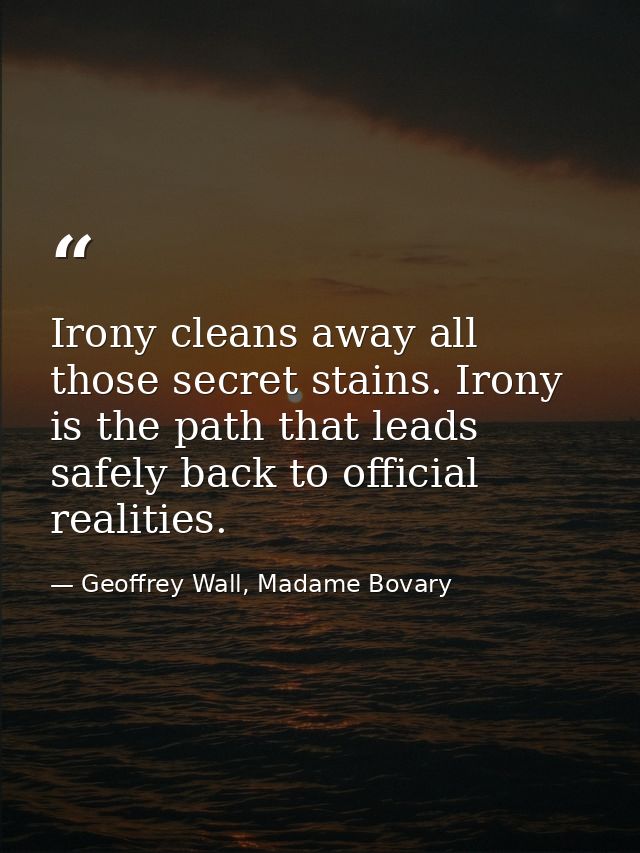 Irony cleans away all those secret stains. Irony is the path that leads safely back to official realities. — Geoffrey Wall, Madame Bovary