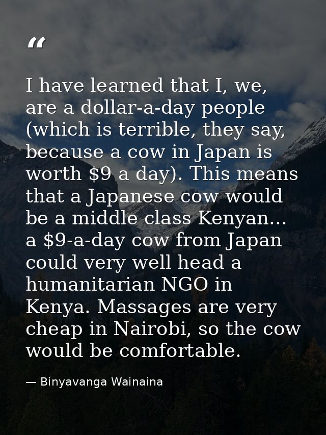 I have learned that I, we, are a dollar-a-day people (which is terrible, they say, because a cow in Japan is worth $9 a  — Binyavanga Wainaina