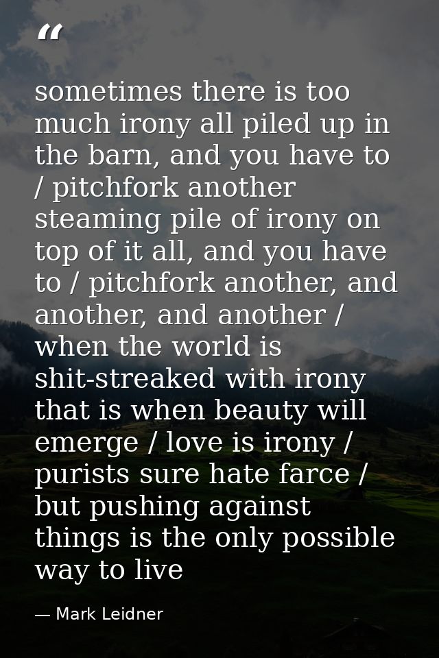 sometimes there is too much irony all piled up in the barn, and you have to / pitchfork another steaming pile of irony o — Mark Leidner