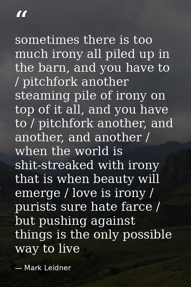 sometimes there is too much irony all piled up in the barn, and you have to / pitchfork another steaming pile of irony o — Mark Leidner