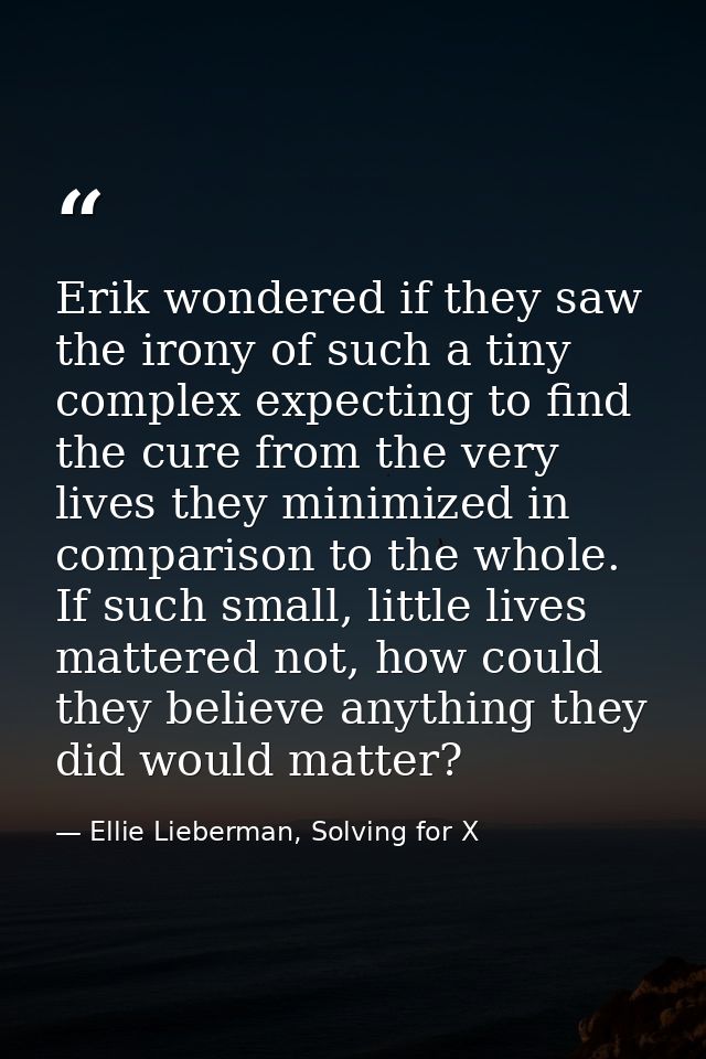 Erik wondered if they saw the irony of such a tiny complex expecting to find the cure from the very lives they minimized — Ellie Lieberman, Solving for X