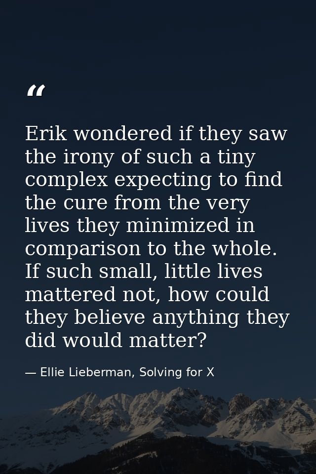 Erik wondered if they saw the irony of such a tiny complex expecting to find the cure from the very lives they minimized — Ellie Lieberman, Solving for X