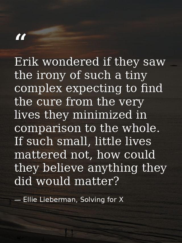 Erik wondered if they saw the irony of such a tiny complex expecting to find the cure from the very lives they minimized — Ellie Lieberman, Solving for X
