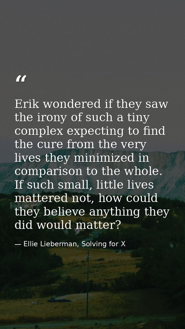 Erik wondered if they saw the irony of such a tiny complex expecting to find the cure from the very lives they minimized — Ellie Lieberman, Solving for X