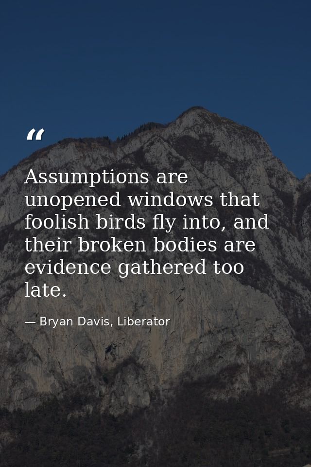 Assumptions are unopened windows that foolish birds fly into, and their broken bodies are evidence gathered too late. — Bryan Davis, Liberator