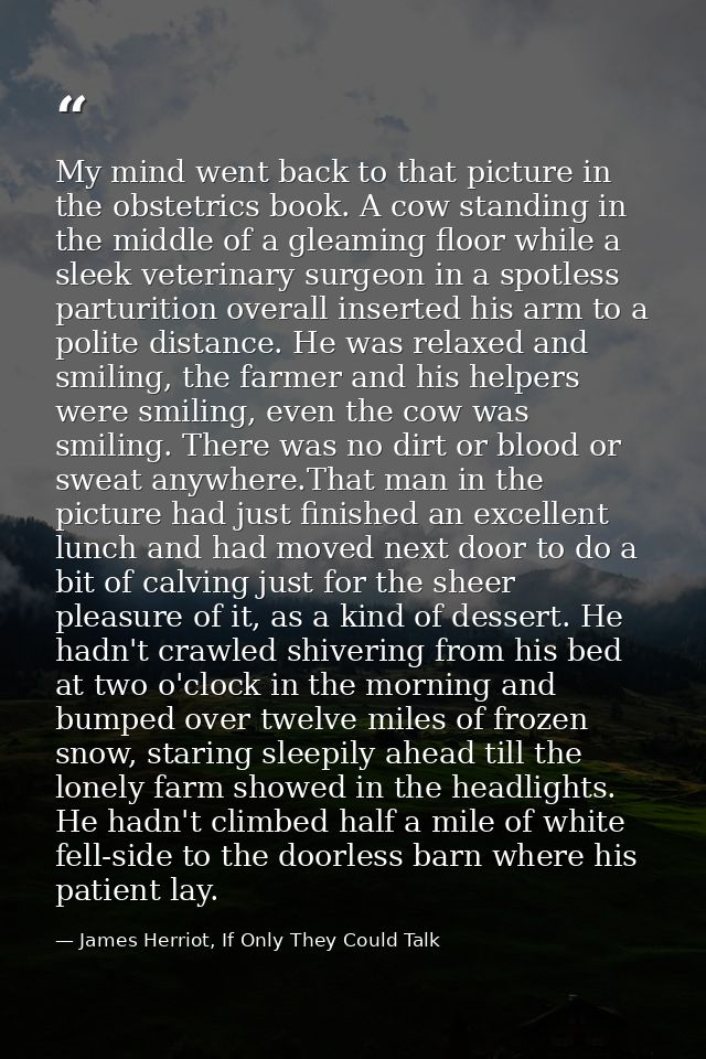 My mind went back to that picture in the obstetrics book. A cow standing in the middle of a gleaming floor while a sleek — James Herriot, If Only They Could Talk