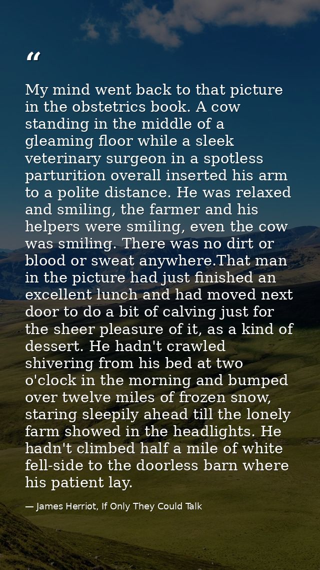 My mind went back to that picture in the obstetrics book. A cow standing in the middle of a gleaming floor while a sleek — James Herriot, If Only They Could Talk