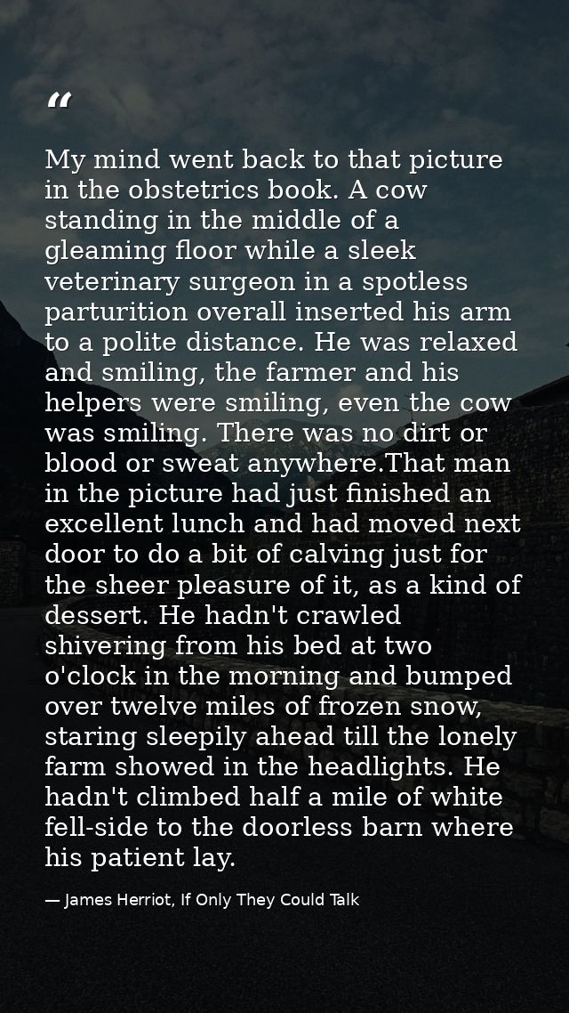 My mind went back to that picture in the obstetrics book. A cow standing in the middle of a gleaming floor while a sleek — James Herriot, If Only They Could Talk
