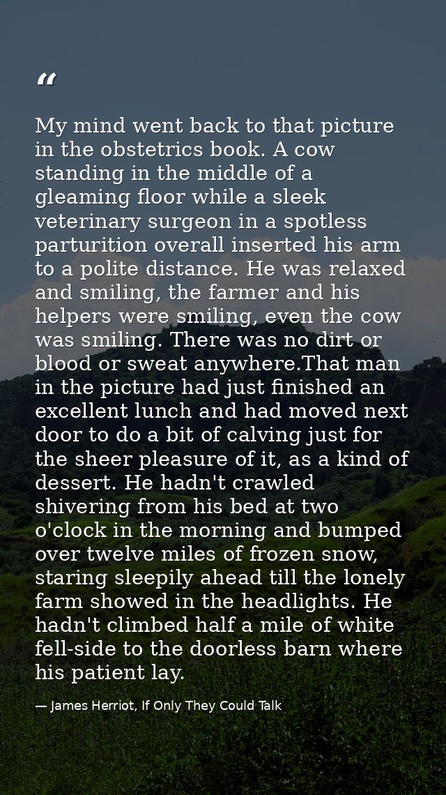 My mind went back to that picture in the obstetrics book. A cow standing in the middle of a gleaming floor while a sleek — James Herriot, If Only They Could Talk