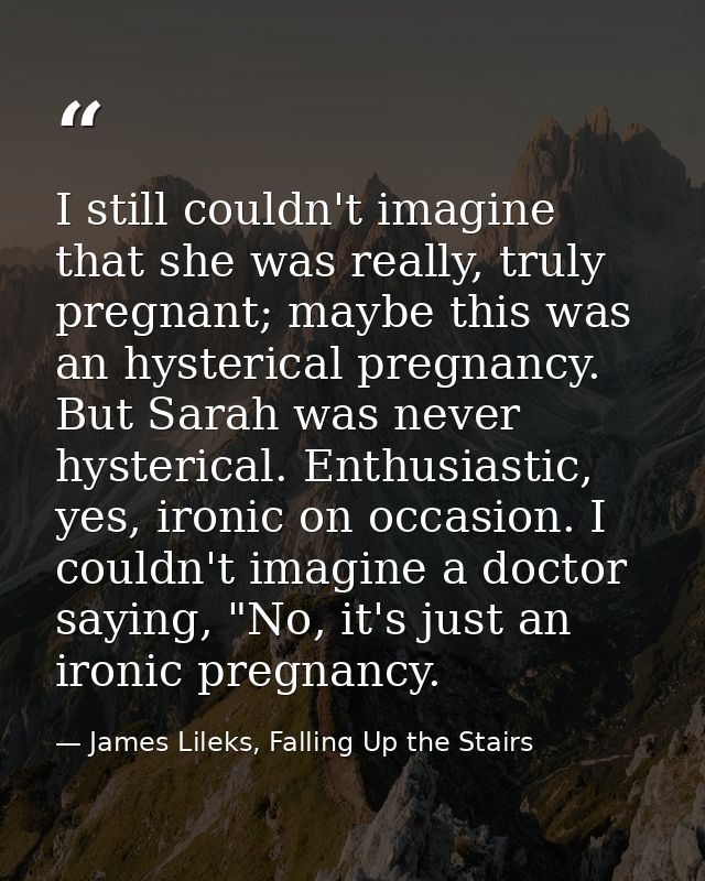 I still couldn't imagine that she was really, truly pregnant; maybe this was an hysterical pregnancy. But Sarah was neve — James Lileks, Falling Up the Stairs