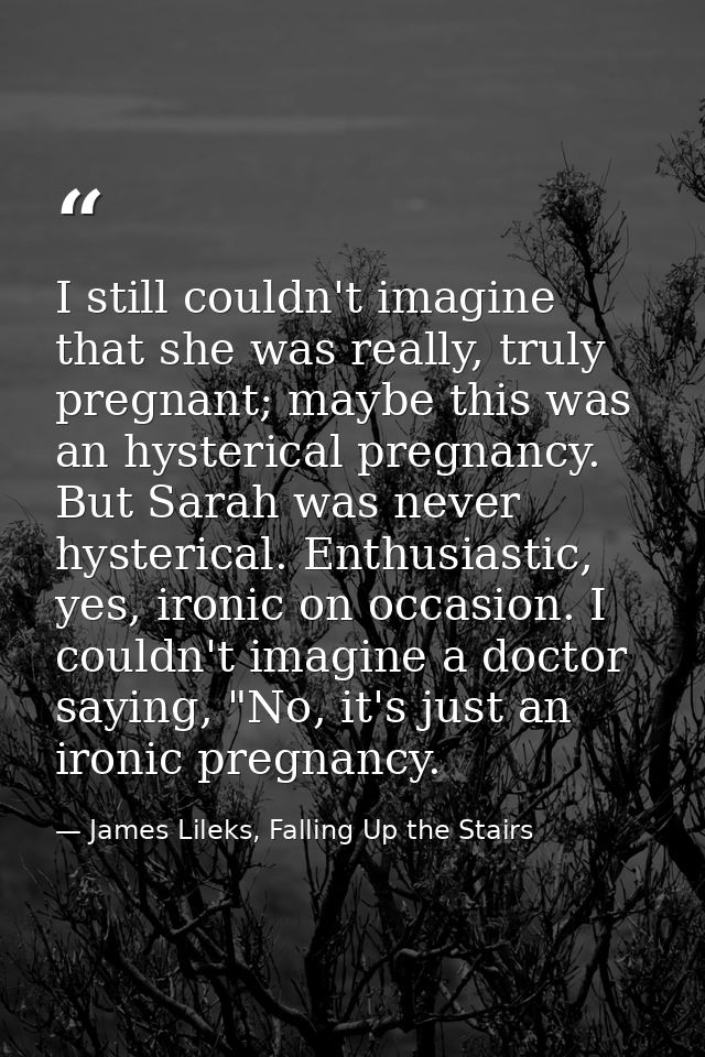 I still couldn't imagine that she was really, truly pregnant; maybe this was an hysterical pregnancy. But Sarah was neve — James Lileks, Falling Up the Stairs