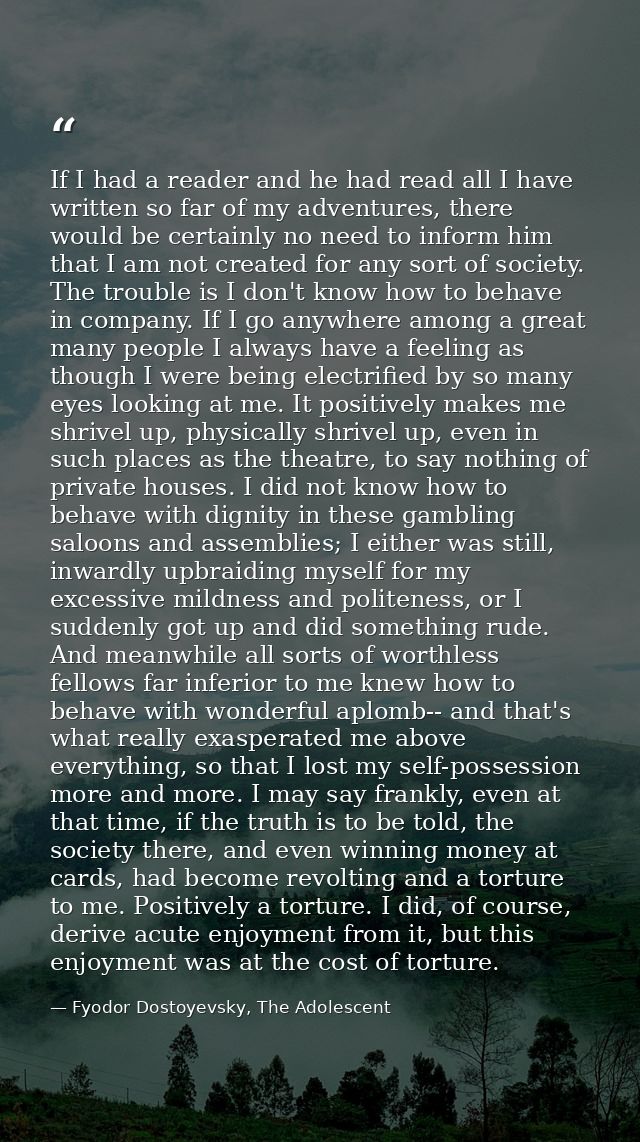 If I had a reader and he had read all I have written so far of my adventures, there would be certainly no need to inform — Fyodor Dostoyevsky, The Adolescent
