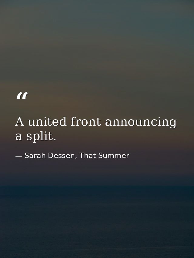 A united front announcing a split. — Sarah Dessen, That Summer