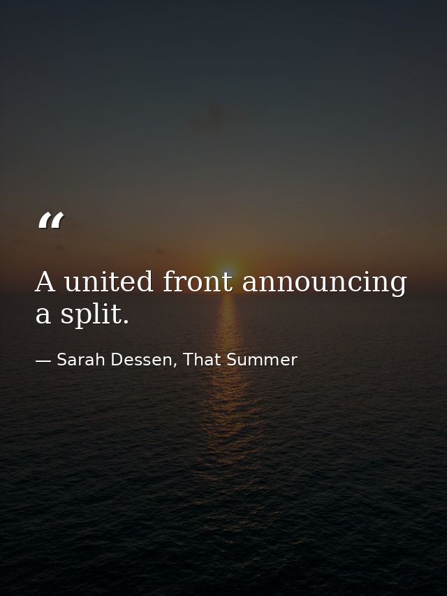 A united front announcing a split. — Sarah Dessen, That Summer
