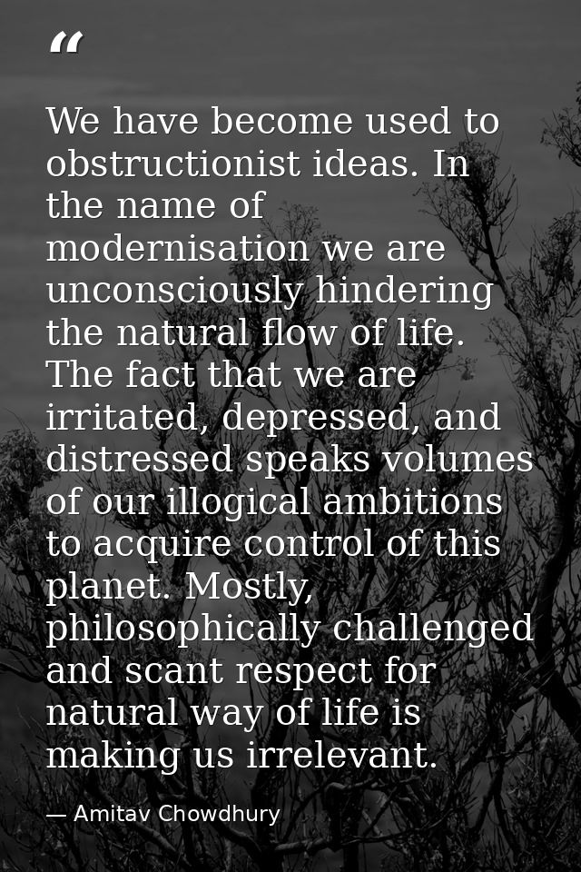 We have become used to obstructionist ideas. In the name of modernisation we are unconsciously hindering the natural flo — Amitav Chowdhury
