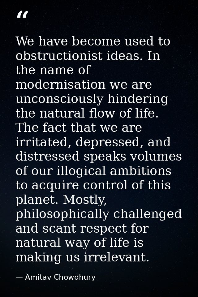 We have become used to obstructionist ideas. In the name of modernisation we are unconsciously hindering the natural flo — Amitav Chowdhury
