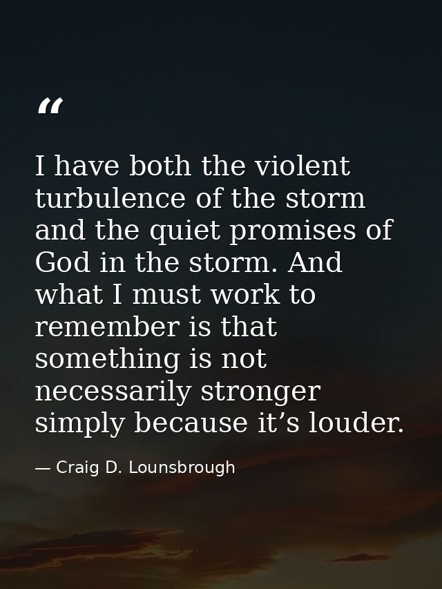 I have both the violent turbulence of the storm and the quiet promises of God in the storm. And what I must work to reme — Craig D. Lounsbrough