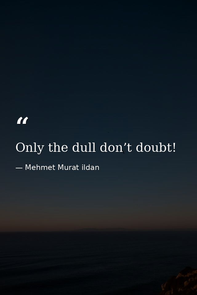 Only the dull don’t doubt! — Mehmet Murat ildan
