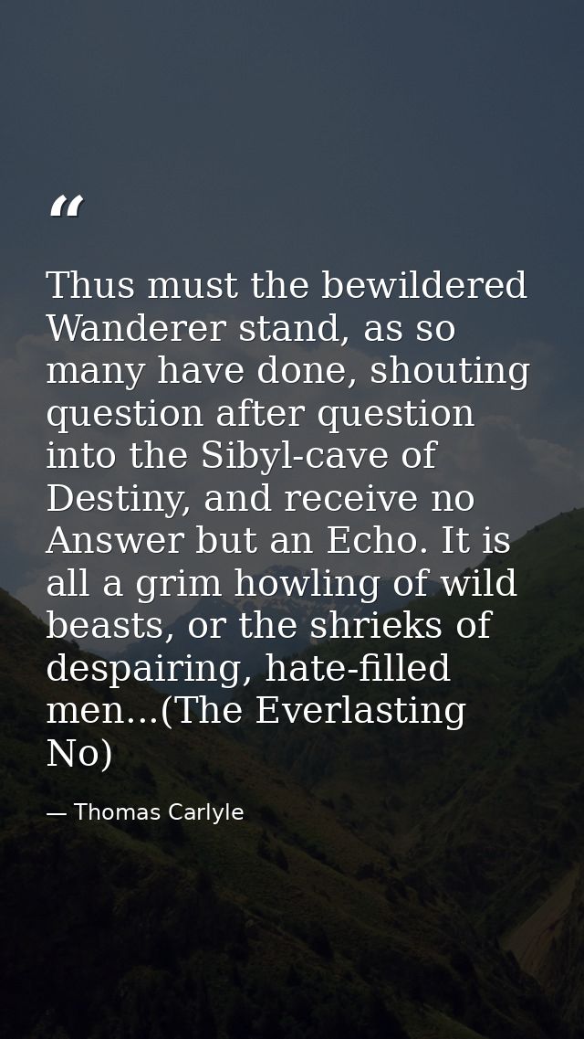 Thus must the bewildered Wanderer stand, as so many have done, shouting question after question into the Sibyl-cave of D — Thomas Carlyle
