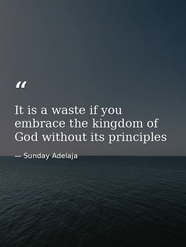 It is a waste if you embrace the kingdom of God without its principles — Sunday Adelaja