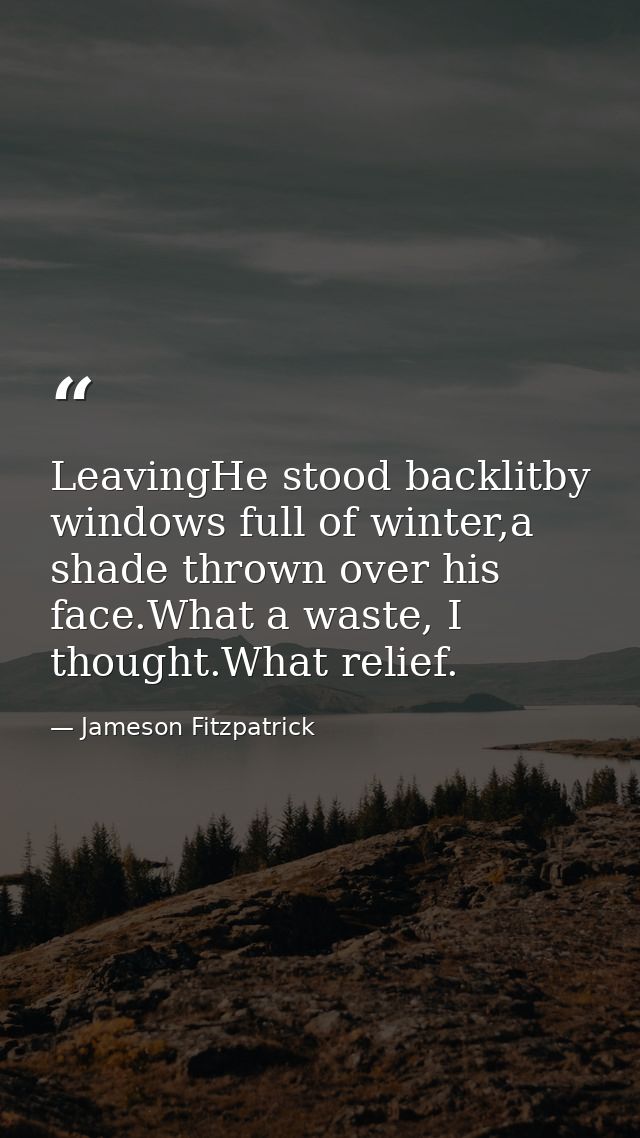 LeavingHe stood backlitby windows full of winter,a shade thrown over his face.What a waste, I thought.What relief. — Jameson Fitzpatrick